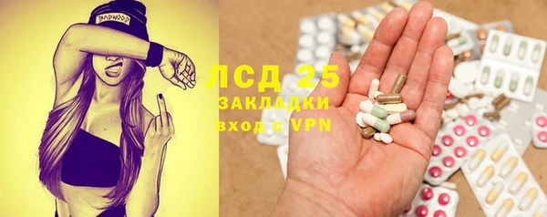 круглые Пересвет
