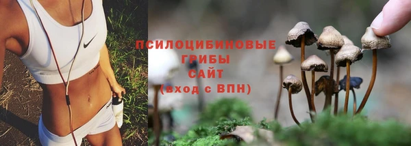 тгк Остров