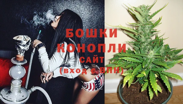 стаф Осташков