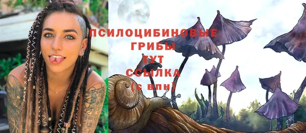 spice Балахна